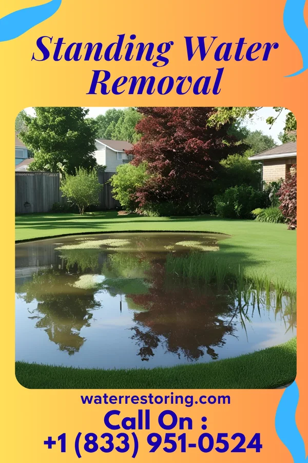 Standing Water Removal in Kingston, IA